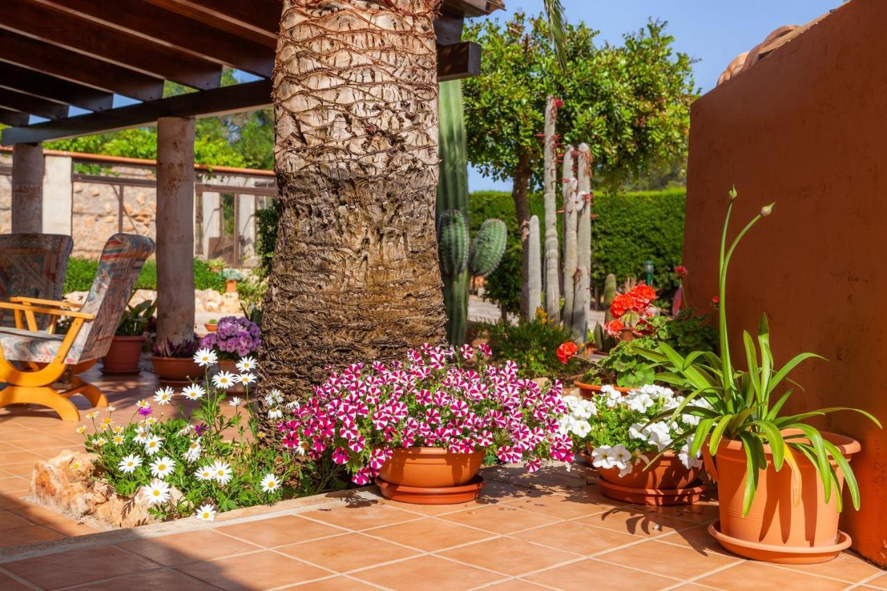 Ses Salines Cottage With Private Pool And Barbecue מראה חיצוני תמונה