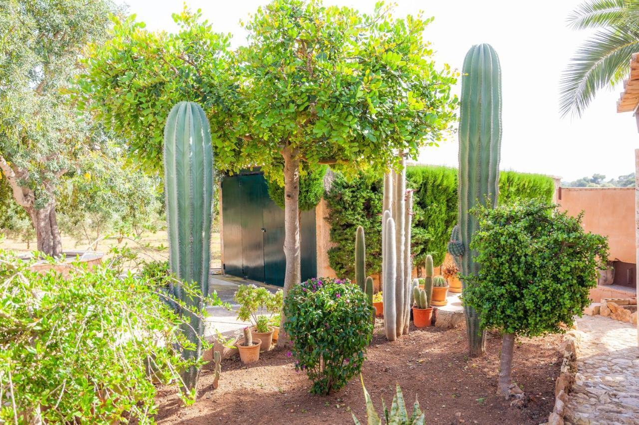 Ses Salines Cottage With Private Pool And Barbecue מראה חיצוני תמונה